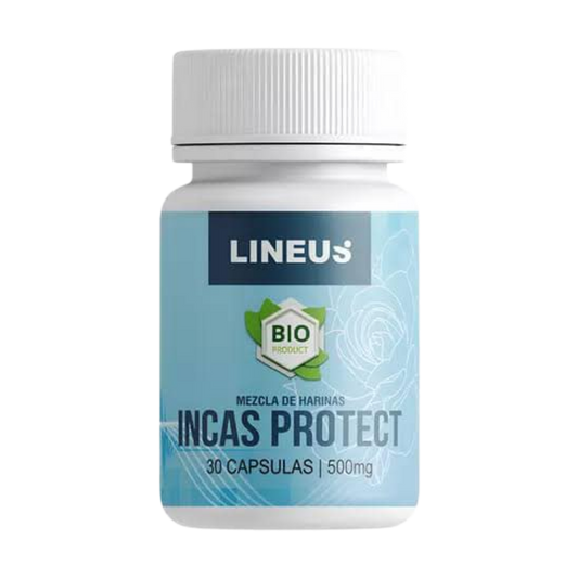 INCAS PROTECT